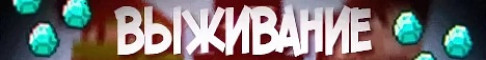 Bein smp